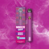 Berry Burst - Classic 1g PLUS Vape Device MI
