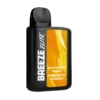 Breeze Elite Orange Pineapple Tangerine